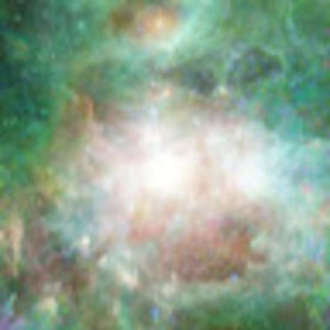 Meet your Posher, Re'francois